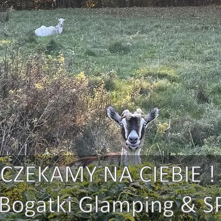 Chalet U Bogatki Glamping & To Klimatyczny, Drewniany Dla Maksymalnie 7 Osob Z Kapielami I Zabiegami Termalnym Spa, Polozony, W Lesie Niedaleko Jeziora Roznowskiego Grodek Nad Dunajcem, Idealny Na Relaks W Otoczeniu Natury