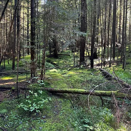 U Bogatki Glamping & To Klimatyczny, Drewniany Dla Maksymalnie 7 Osob Z Kapielami I Zabiegami Termalnym Spa, Polozony, W Lesie Niedaleko Jeziora Roznowskiego Grodek Nad Dunajcem, Idealny Na Relaks W Otoczeniu Natury Chalet Grodek Nad Dunajcem